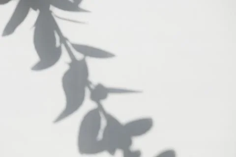 White blurred surface with shadows from tree branches. Abstract photo overlay Stock Photos