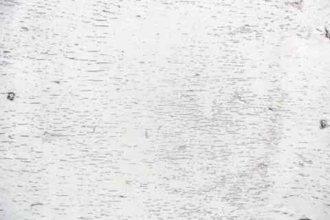 White board texture Stock Photos