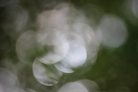 White bokeh. Stock Photos