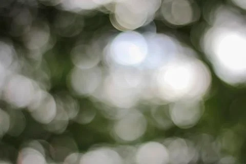 White bokeh. Stock Photos