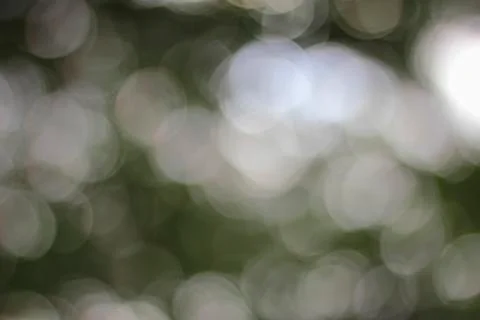 White bokeh. Stock Photos