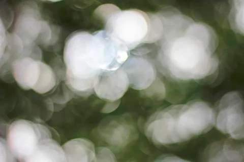 White bokeh. Stock Photos