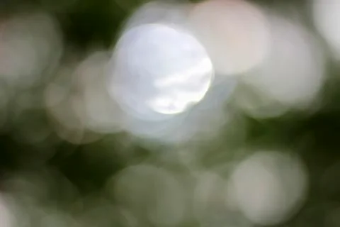 White bokeh. Stock Photos
