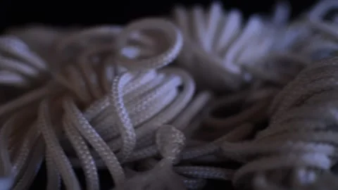Bound In Leather (Bondage) Stock Videos – Royalty-Free HD & 4K Videos