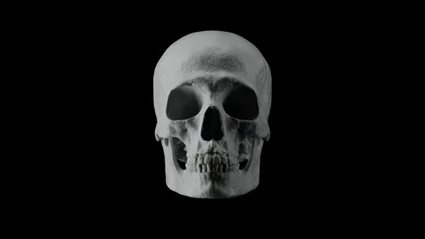 White Bone Skull Shaking Head No Loop - Rejection Gesture 3D Animation Stock Footage 340227502
