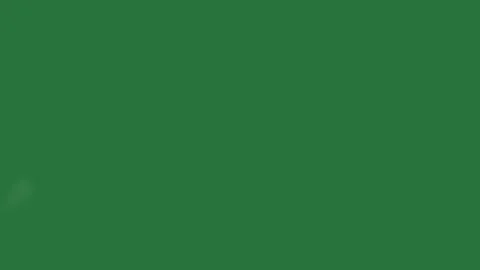 White border and clouds abstract some flowers spots screen isolated on green Video stock 336858563