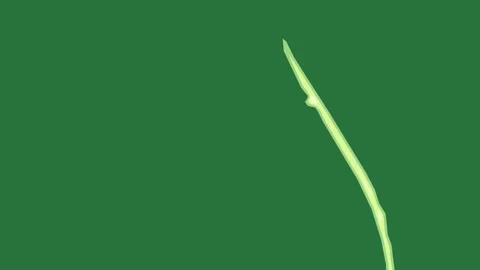 White border and lines arrow screen the letter isolated on green screen Stock Footage 336955079