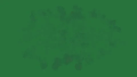 White border and pattern of leaves bunch clovers an image snow flakes tree in Stock Footage 336893213