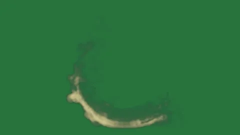 White border and screen bird flying in the sky whale swimming ocean on an Stock Footage 336893214