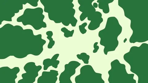 White border and spots outline leaf cow pattern black photo of man in suit Stock Footage 336955519