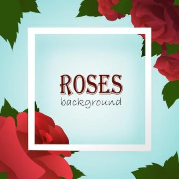 White border frame on blue background with roses Stock Illustration