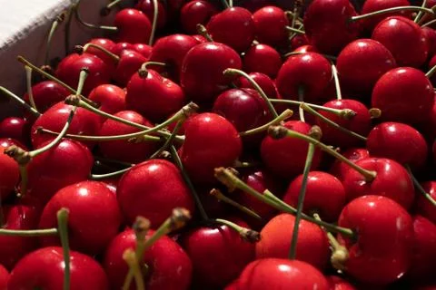 On the white border there are red cherry berries with green tails and white g Stock Photos