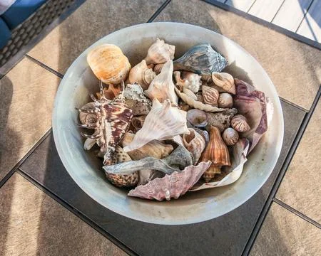 White bowl of seashells as decor Stock Photos