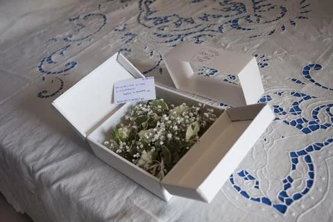 A white box containing delicate white and green flowers, likely boutonniere.. Stock Photos