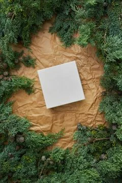 White box with empty space for text framed from natural spruce Stock Photos