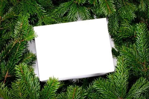 White box with pine tree branches Stock-Fotos