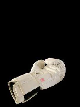 White Boxing Gloves Stock Photos
