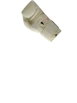 White Boxing Gloves Stock Photos