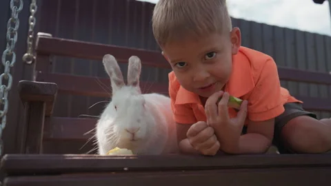White Boy Lying Beside Rabbit On Swing, Orange Shirt Child Playmate Sharing Stock Footage 327094088