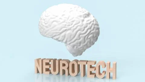 The white brain and wood text neueotech for sci or medical concept 3d renderi Stock Illustration