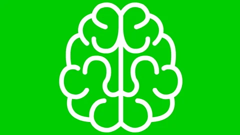 White brain drawing green Stock Footage 181892946