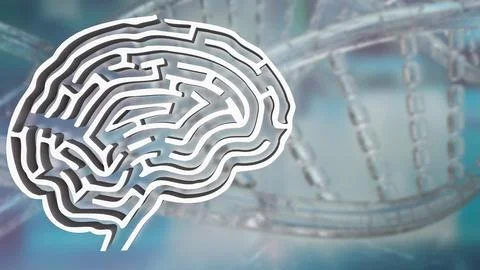 The White Brain maze on DNA background  for sci or creative concept 3d rend.. Stock Illustration