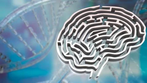 The White Brain maze on DNA background  for sci or creative concept 3d rend.. Stock Illustration