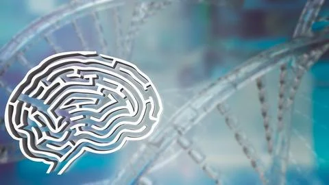 The White Brain maze on DNA background  for sci or creative concept 3d rend.. 스톡 사진