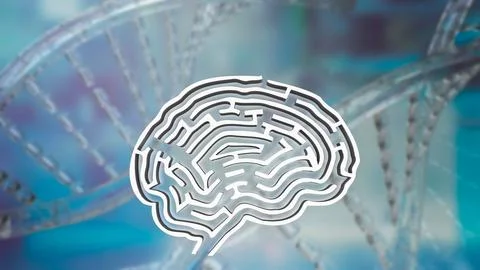 The White Brain maze on DNA background  for sci or creative concept 3d rend.. 스톡 사진