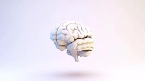 White brain model rotates against light background in 3d animation. 스톡 동영상 342420163