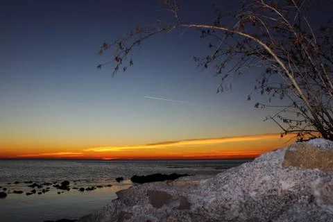 White branches on sunset 2 Stock Photos