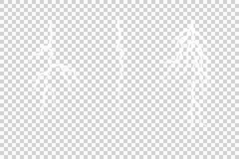 White branching roots on black rectangular panels isolated on a transparent.. Ilustración de archivo