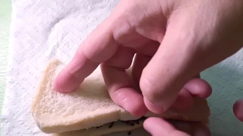 White Bread Treat. Folded Sprinkle Bread. Colorful Slice Folded Stock Footage 311572918