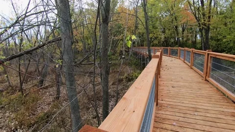 A white-breasted nuthatch hopping up and down the ramp of the walkway Video stock 167673317