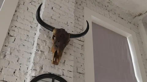 White brick wall with buffalo head decor in a modern interior Stock Footage 313656503