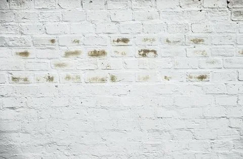 A white brick wall with a few brown spots Stock Photos