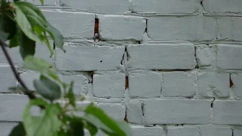 White brick wall at summer day Stock Footage