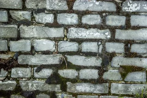 White brick wall textured background Stock Photos