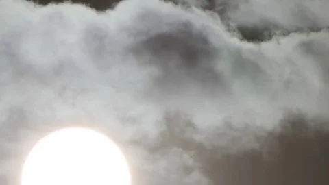 White bright sun Stock Footage 81451042