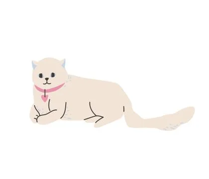 White british cat lying in beautiful pose. Vector illustration in simple cartoon Stock Illustration