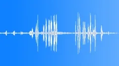 White-browed sparrow-weaverSound Effect