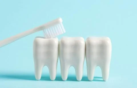White brush cleans models of human teeth on blue background. Dental poster .. Stock Photos