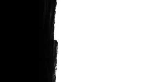 White Brush Stroke Wipe Transition with Alpha Channel Animated 4K Overlay Stock Footage 342250450
