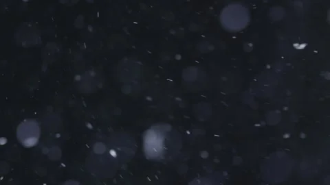 White Bubbles And Particles In Water Against Black Background / Snow Stock Footage 252817160