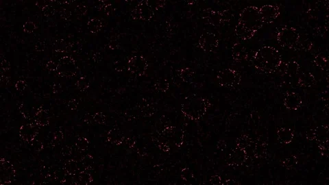 White bubbles looping black screen 4k motion background. Stock Footage 301856342