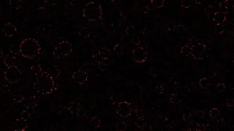 White bubbles looping black screen 4k motion background. Stock Footage 301856370