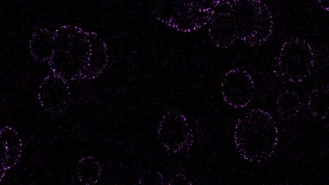 White bubbles looping black screen 4k motion background. Stock Footage 301856398