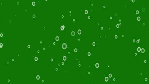 White bubbles looping green screen 4k motion background. Stock Footage 301856442