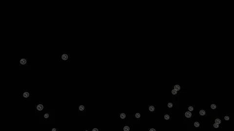 White bubbles rise from the bottom of the black screen and fill the entire space Video stock 154318314
