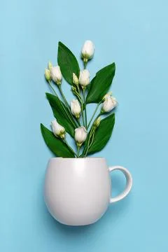 White bud eustoma flower in tea coffee cup mug close-up. Vertical studio shot Foto stock